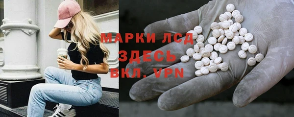 гидра Верея