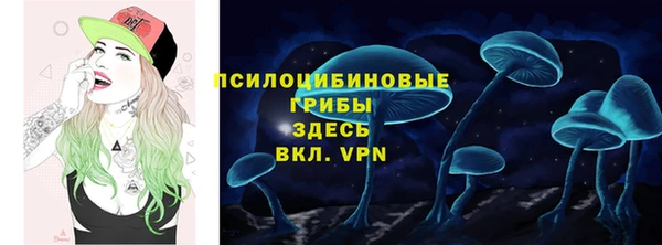гидра Верея