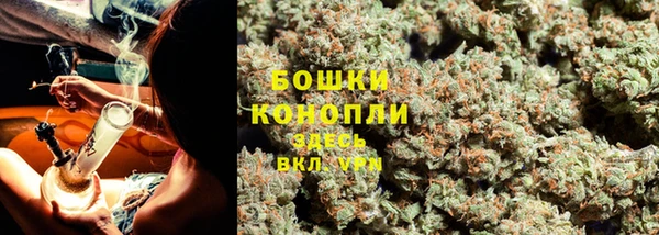 бошки Верхний Тагил