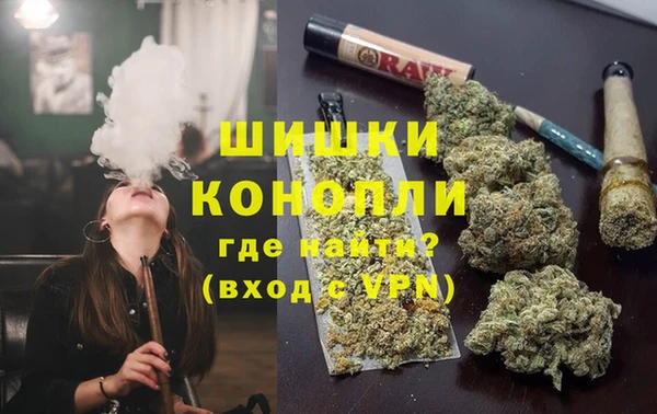 гидра Верея