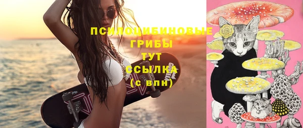 гидра Верея