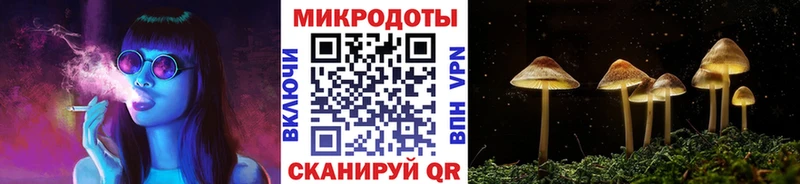 Галлюциногенные грибы MAGIC MUSHROOMS  закладка  Прокопьевск 